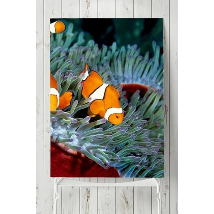 (pster2762) Yeşil Balık Hayvan Posteri (40x60cm)