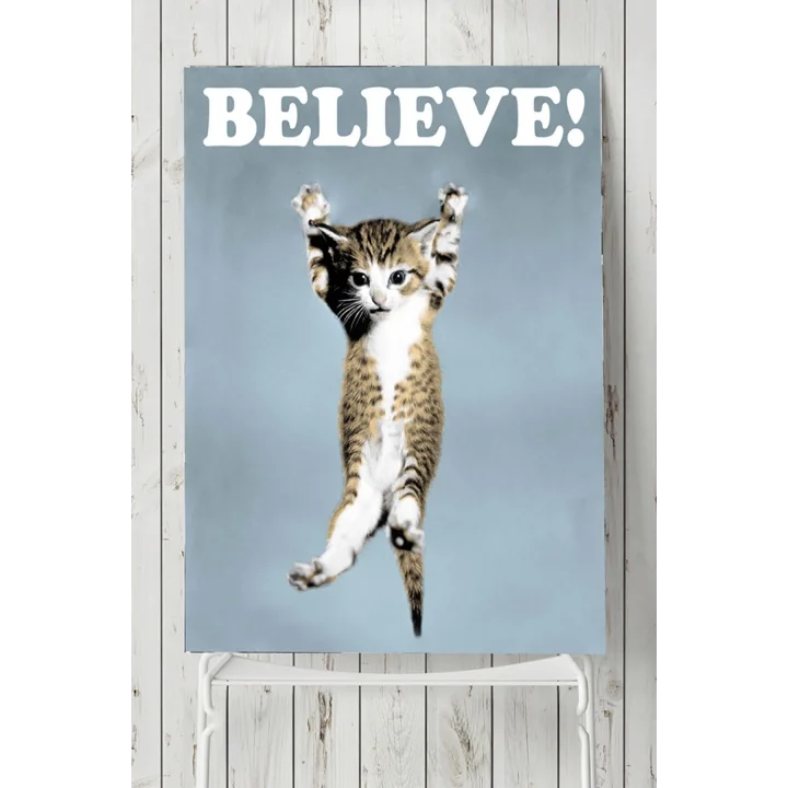 (pster3079) Believe Cat Hayvan Posteri (40x60cm)