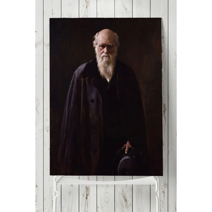 (pster3583) Darwin Bilimsel Poster 80x115cm