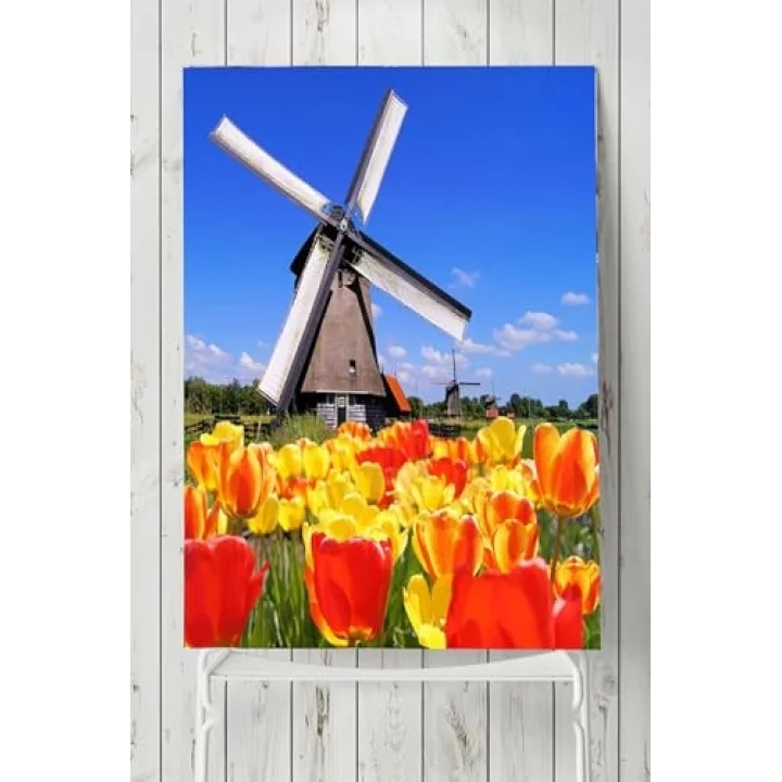 (pster4910) Hollanda Manzara Posteri