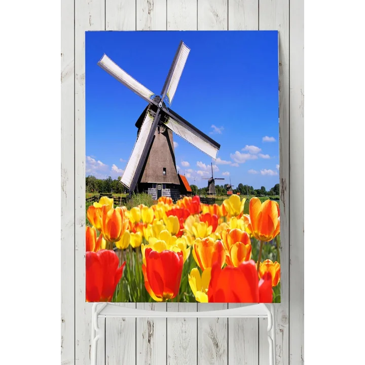 (pster4910) Hollanda Manzara Posteri
