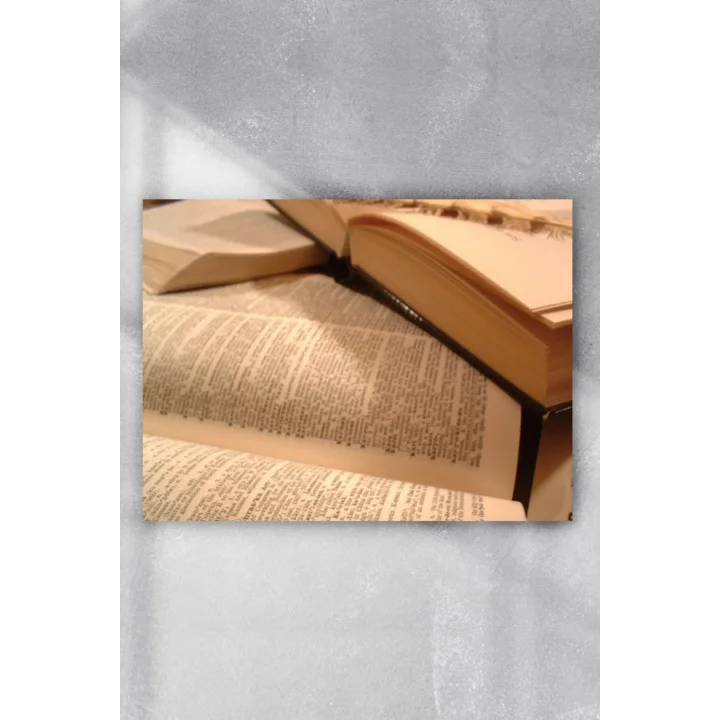 (pster5655) Sanatsal Kitap Posteri 2