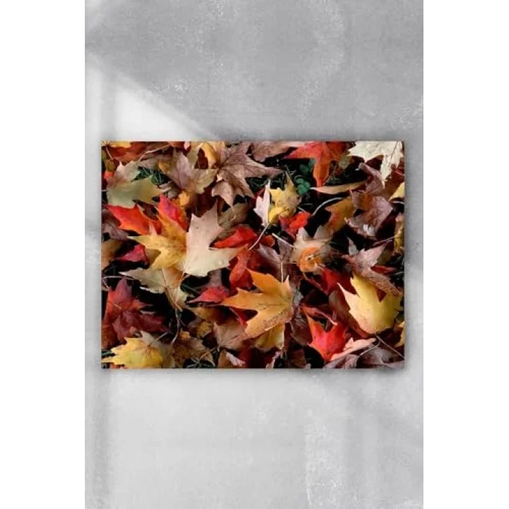 (pster6532) Sonbahar Manzara Poster 3 (60x90cm)