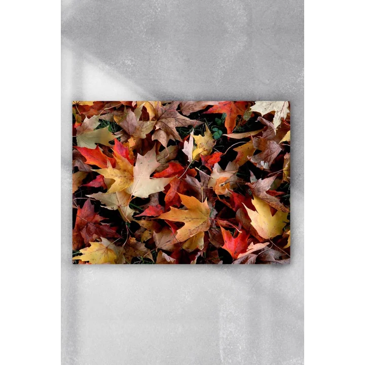 (pster6532) Sonbahar Manzara Poster 3 (60x90cm)