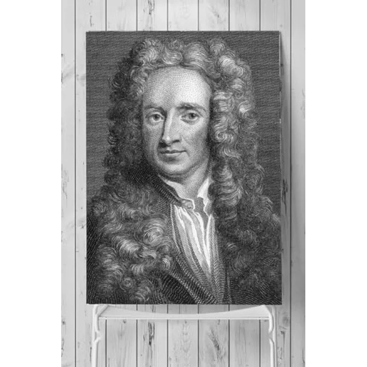 (pster7398) Newton Bilimsel Poster (80x115cm)