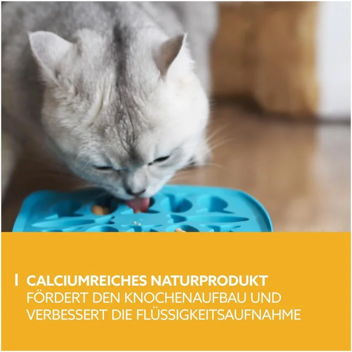 Puding Kedi Ödülü 150 gr