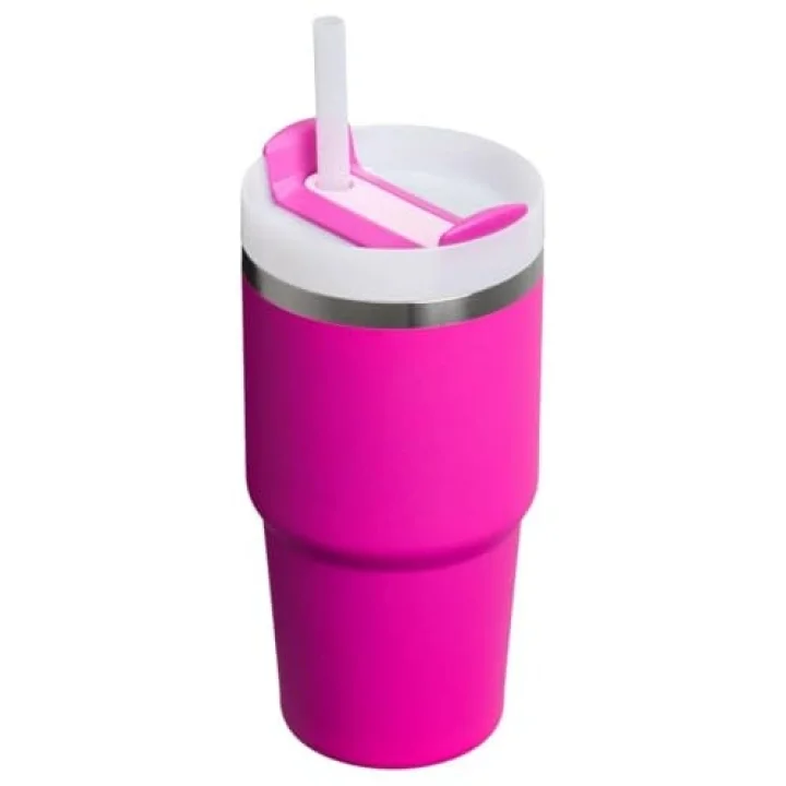 Quencher Pipetli Termos Bardak 0,60 LT-10-10826-362