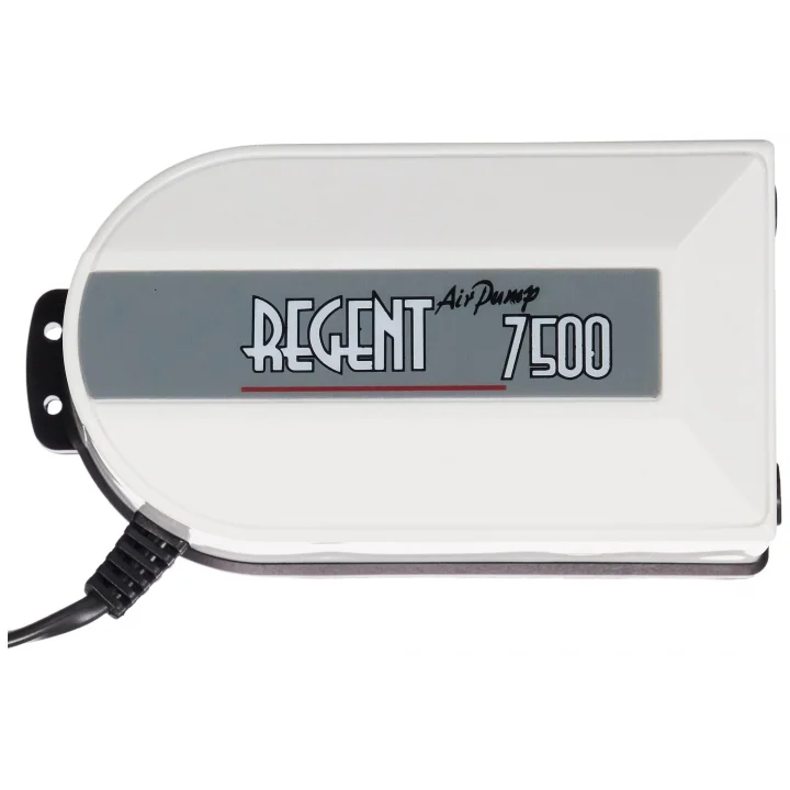 Regent RE 7500 Çift Çıkış Sessiz Akvaryum Hava Motoru