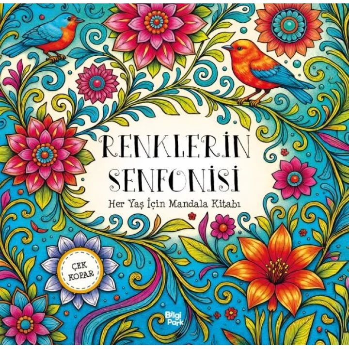 Renklerin Senfonisi – Her Yaş İçin Mandala - Çek Kopar