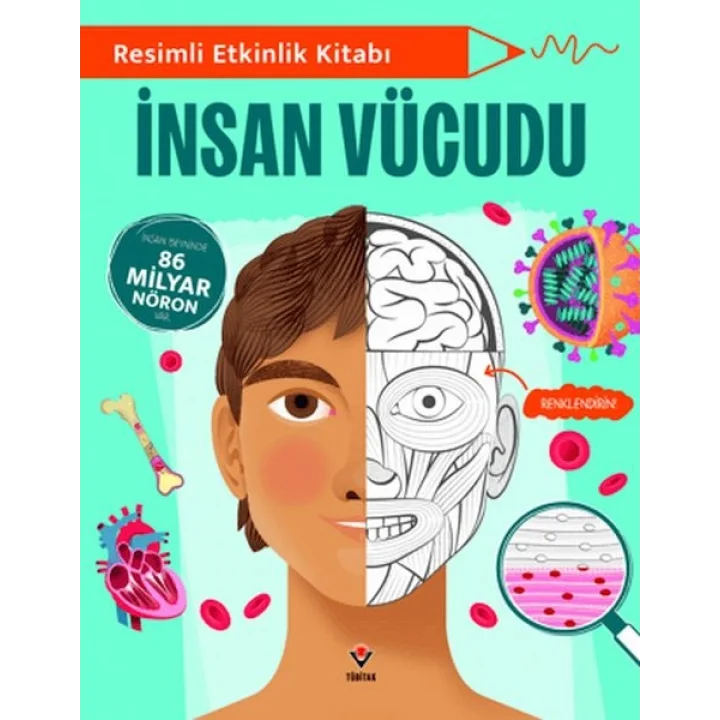 Resimli Etkinlik Kitabı - İnsan Vücudu
