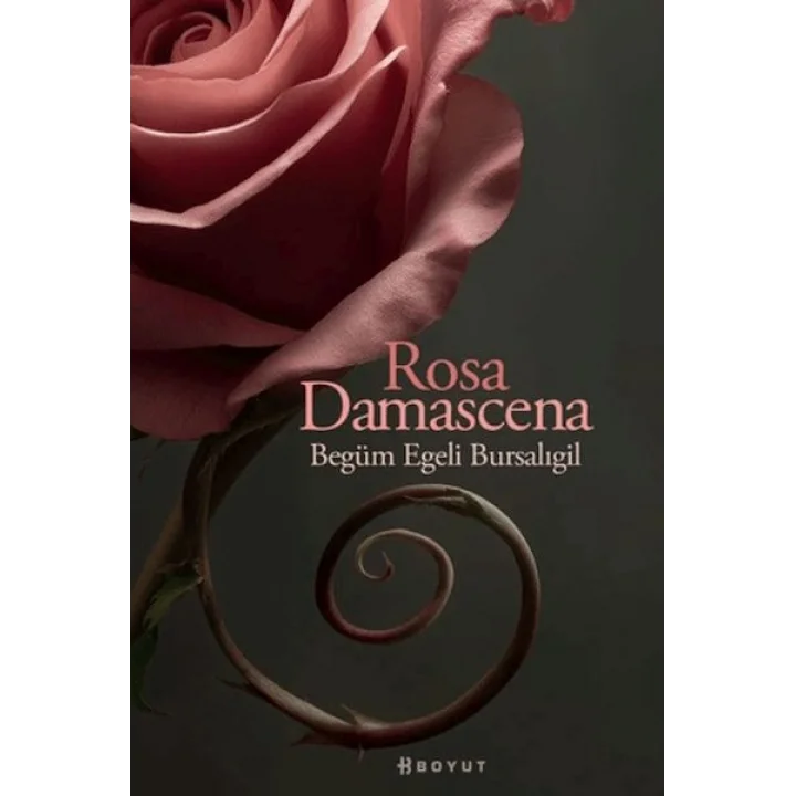 Rosa Damascena (Damask Gülü)