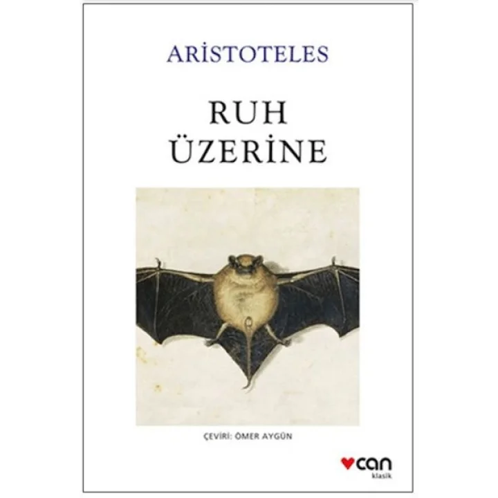 Ruh Üzerine