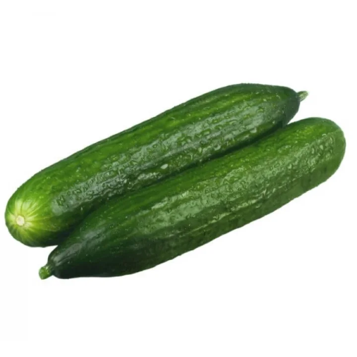 SALATALIK BEITH ALPHA İTHAL (ÇOKLU TOHUM) - 5 Gram