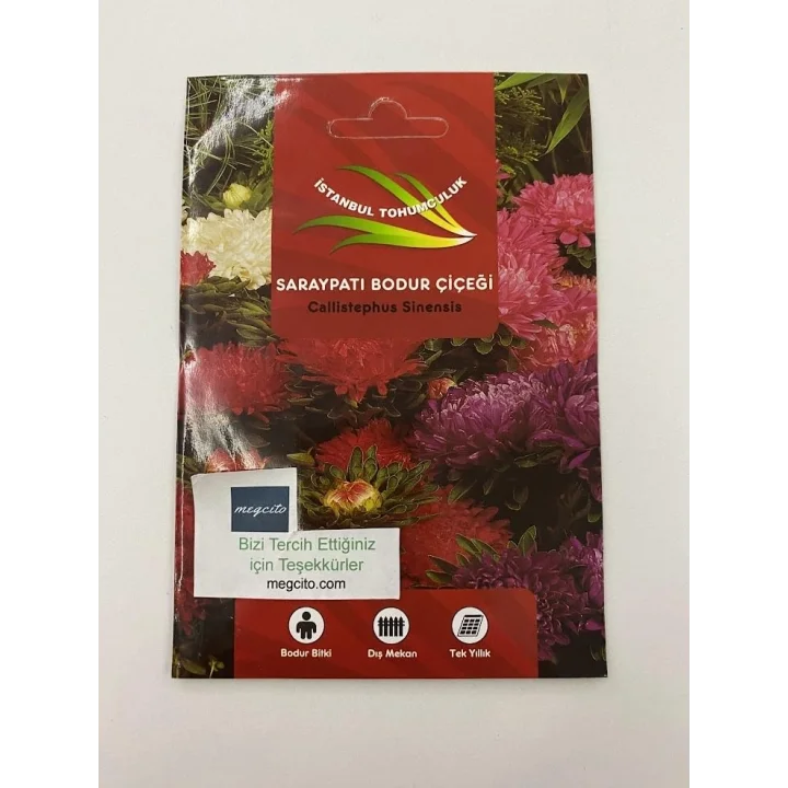 SARAYPATI BODUR (ÇOKLU TOHUM) - 125 Tohum - KARIŞIK Renk