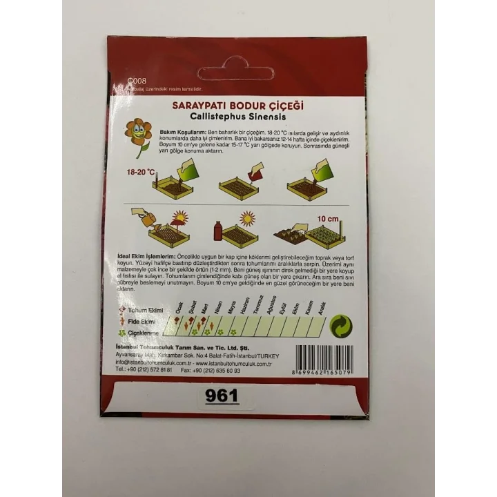 SARAYPATI BODUR (ÇOKLU TOHUM) - 125 Tohum - KARIŞIK Renk