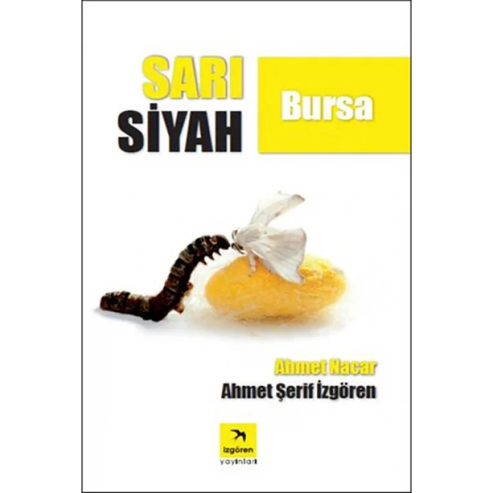 Sarı Siyah Bursa