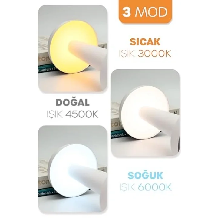 Şarjlı Mantar Masa Lambası Metal Dokunmatik 3 Işık Parlaklık Ayarlı Gece Masa Üstü Lamba (Siyah A4)
