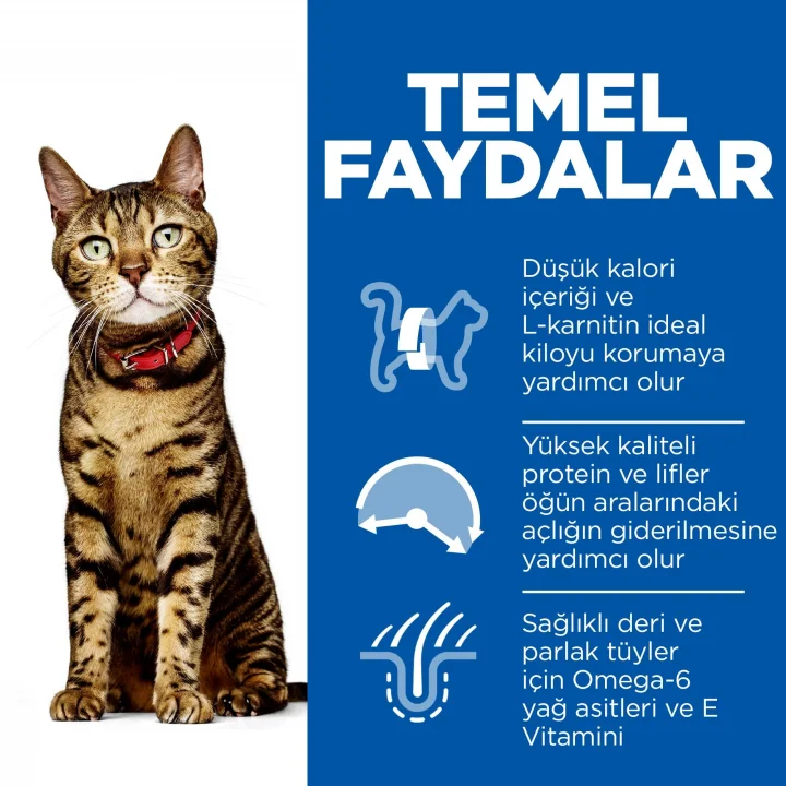 SCIENCE PLAN Light Yetişkin Tavuklu Kedi Maması 3 kg