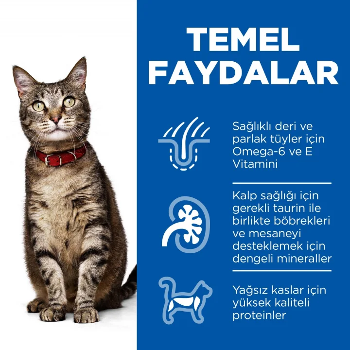 SCIENCE PLAN Yetişkin Kuzulu Kedi Maması 8+2 kg