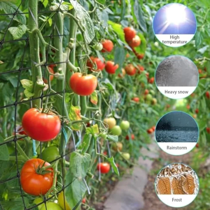 Scrog file, bitki yetiştirme ağı, (150 x 150 cm) elastik kafes ağı, 6 kancalı, elastik ağ kafesi, bitki yetiştirme çadırı, iç mekan bitkisi, hidroponik yetiştirme odası, elastik file