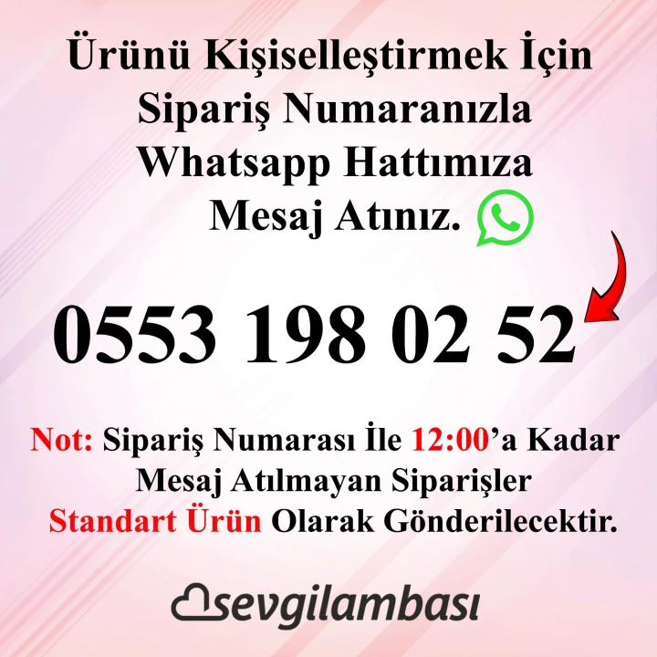 Sevimli Kurt Çocuk Odası Gece Lambası, Kurt Köpeği Bebek Doğum Günü Hediyesi, İsimli Çocuk Hediyesi (Küçük Boy)