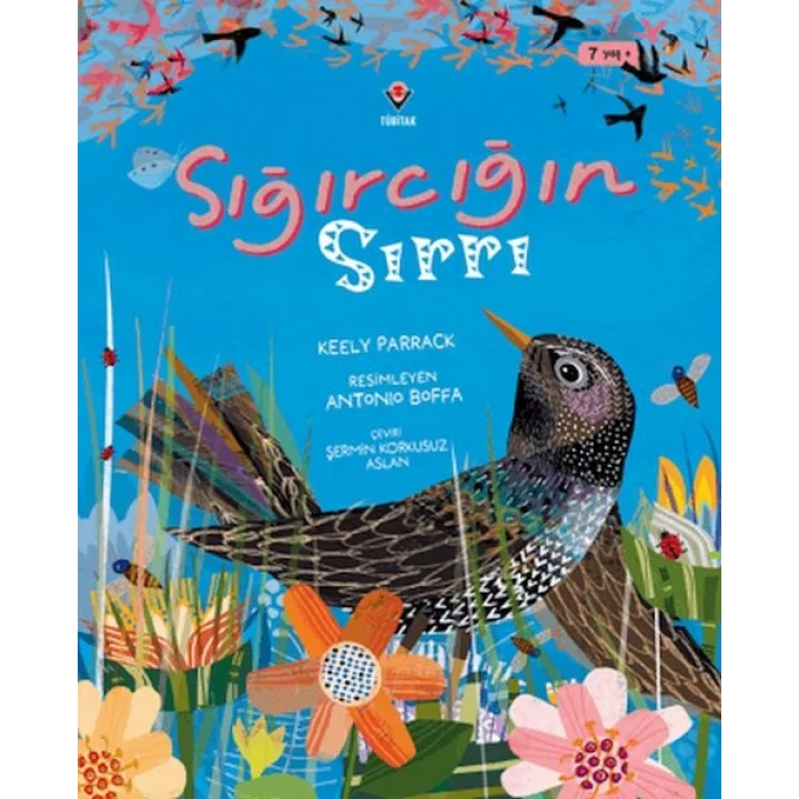 Sığırcığın Sırrı