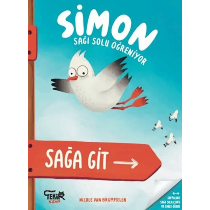 Simon Sağı Solu Öğreniyor