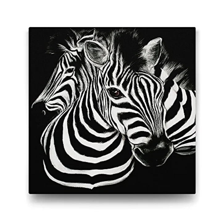 Siyah Beyaz Zebra Tablosu - 60x60cm