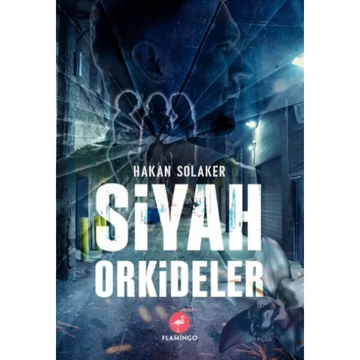 Siyah Orkideler