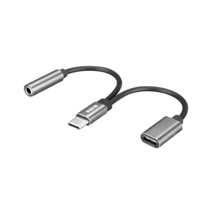 SL-TA45M Gri Metal TypeC to 3.5 jack+TypeC Çevirici