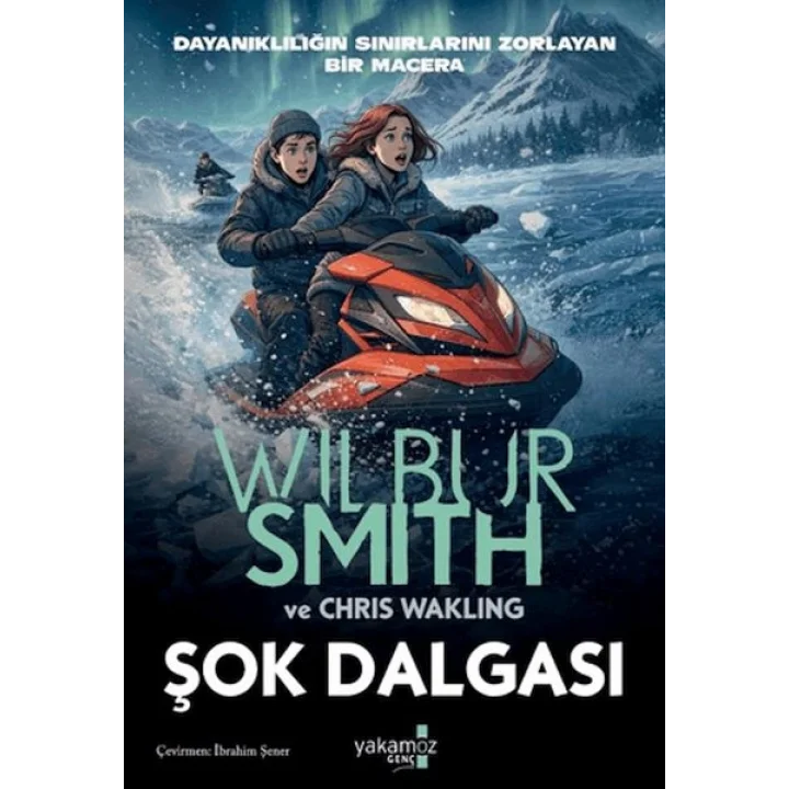 Şok Dalgası