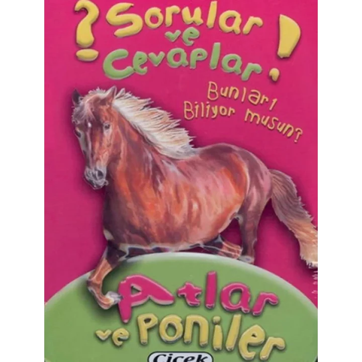 Sorular Ve Cevaplar Kart Atlar Ve Poniler