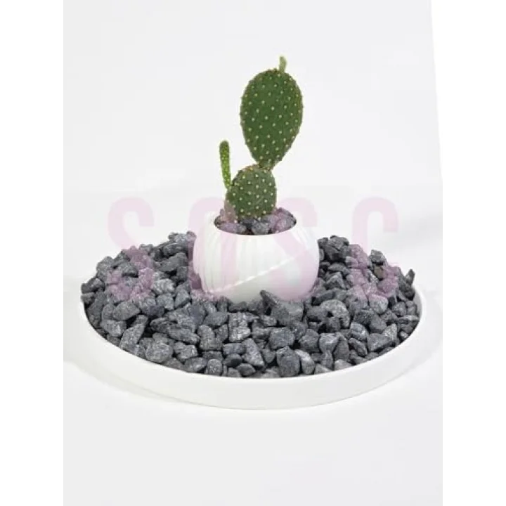 SOSC Siyah Dolomit Taş, Bazalt Taşı, Dekoratif Siyah Taş, 1-2 cm, 1 kg