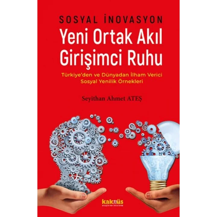 Sosyal İnovasyon Yeni Ortak Akıl Girişimci Ruhu