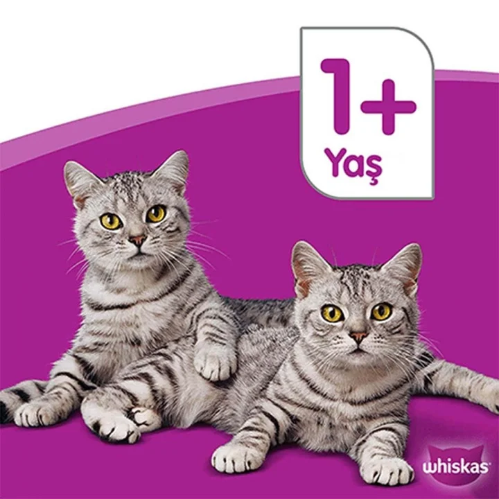 Tavuklu Poşet Yaş Mama 85 G Tekli Paket