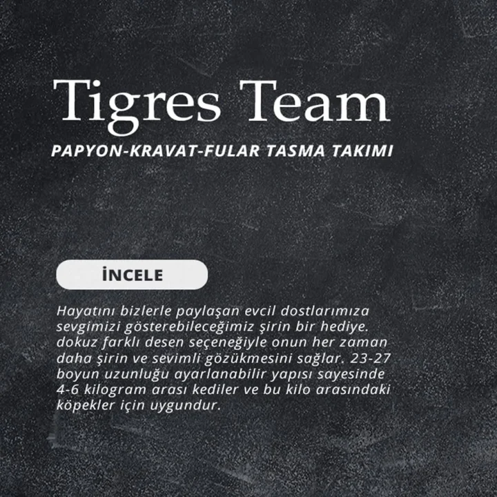 Team Galaksi Desenli Kravat Kedi Tasması