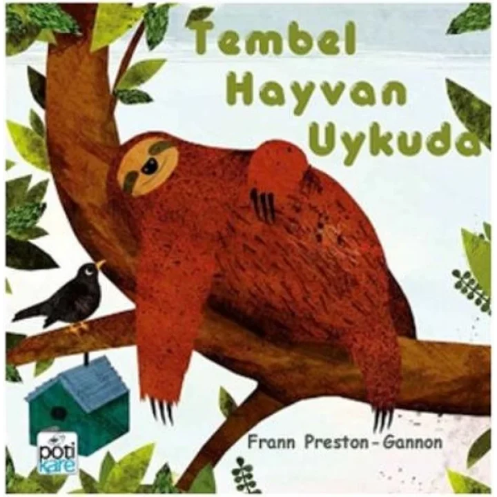 Tembel Hayvan Uykuda