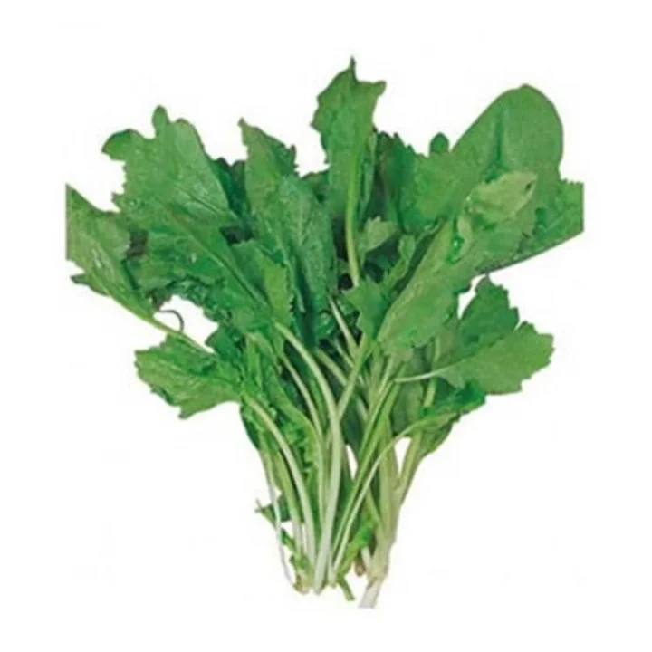 TERE İNCE (ÇOKLU TOHUM) - 10 Gram