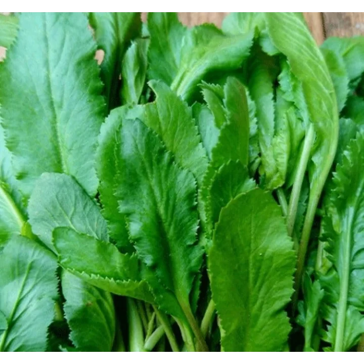 TERE İNCE (ÇOKLU TOHUM) - 10 Gram