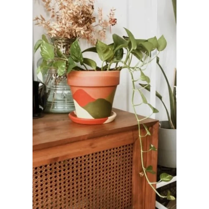 Terracotta Konik Saksı+Tabak • Abstract No.03 (Orta)