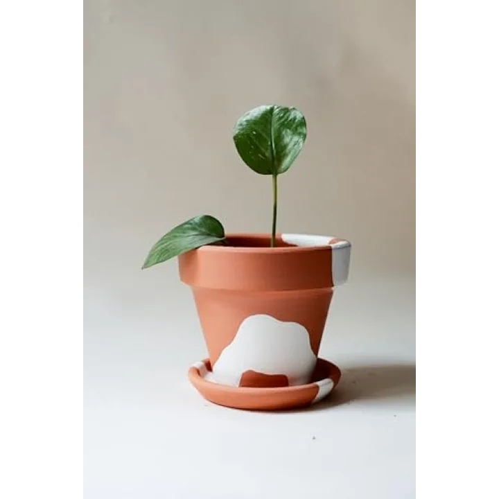 Terracotta Konik Saksı+Tabak • Bohem Beyaz (Orta)
