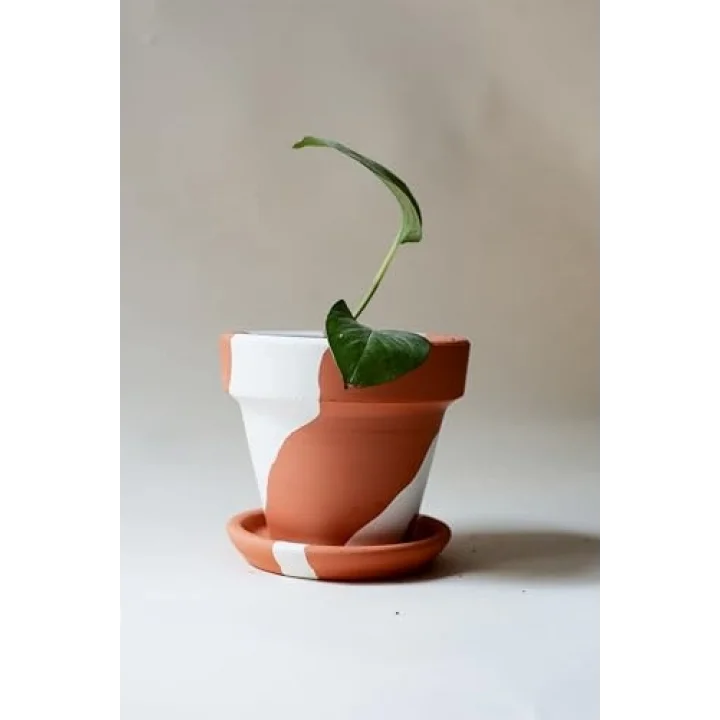 Terracotta Konik Saksı+Tabak • Bohem Beyaz (Orta)