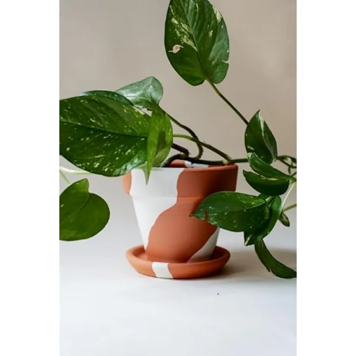 Terracotta Konik Saksı+Tabak • Bohem Beyaz (Orta)