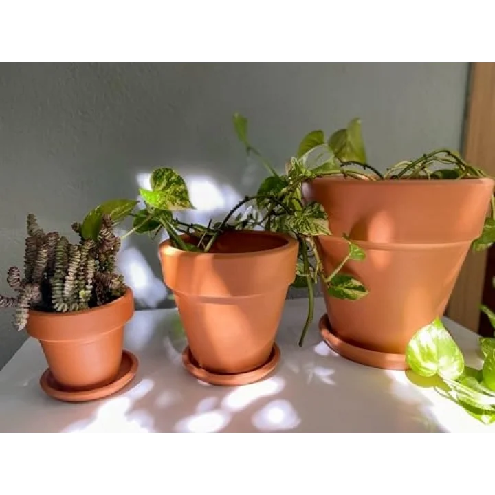 Terracotta Konik Saksı+Tabak • Bohem Beyaz (Orta)