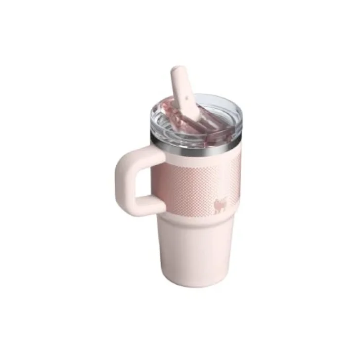The Quencher Protour Flip Straw Tumbler 0.6L / 20oz | Pudra