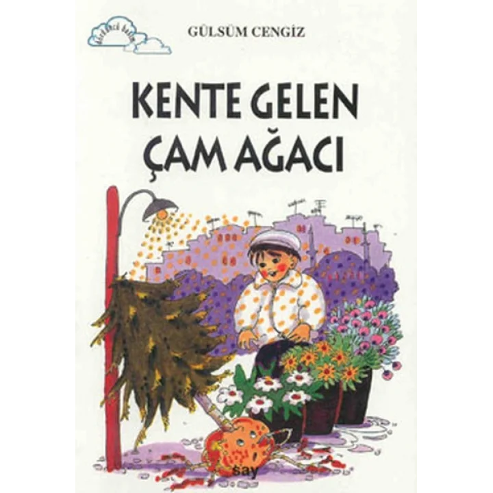 Tomurcuk 4-Kente Gelen Çam Ağacı