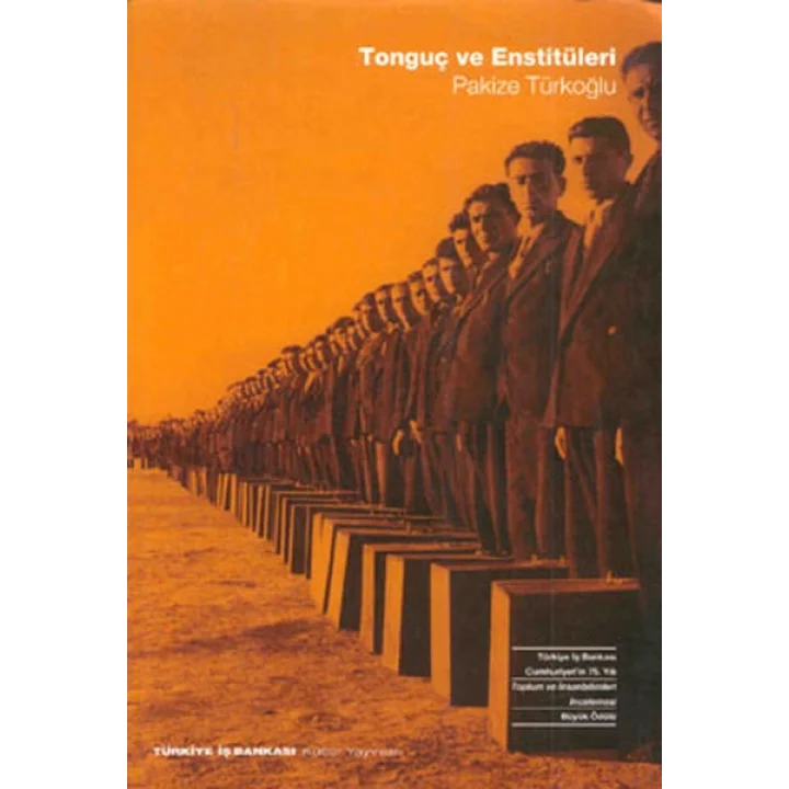 Tonguç ve Enstitüleri