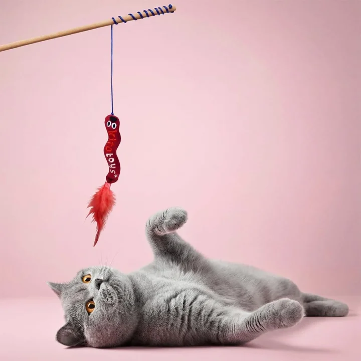 Toys Solucan (Olta) Peluş Kedi Oyuncağı