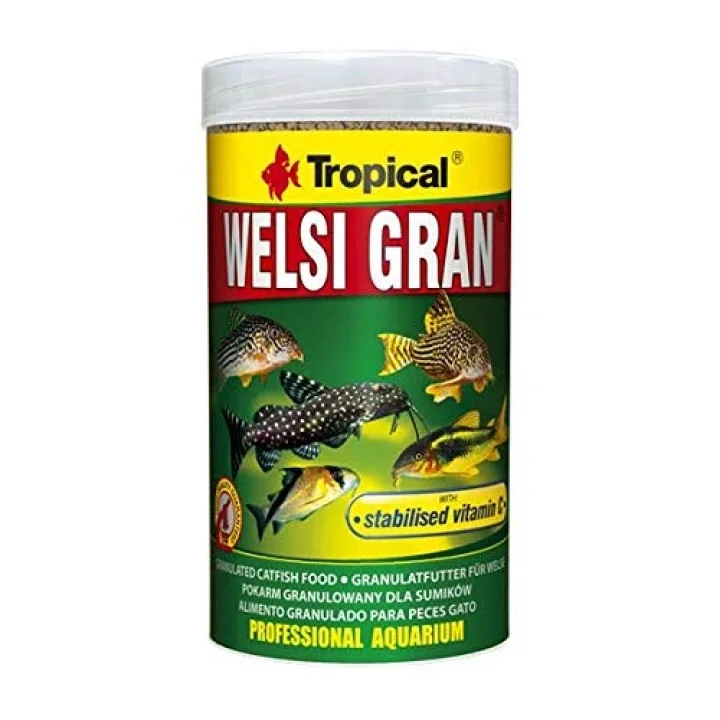 Tropical Welsi Gran 100gr Kovadan Bölme