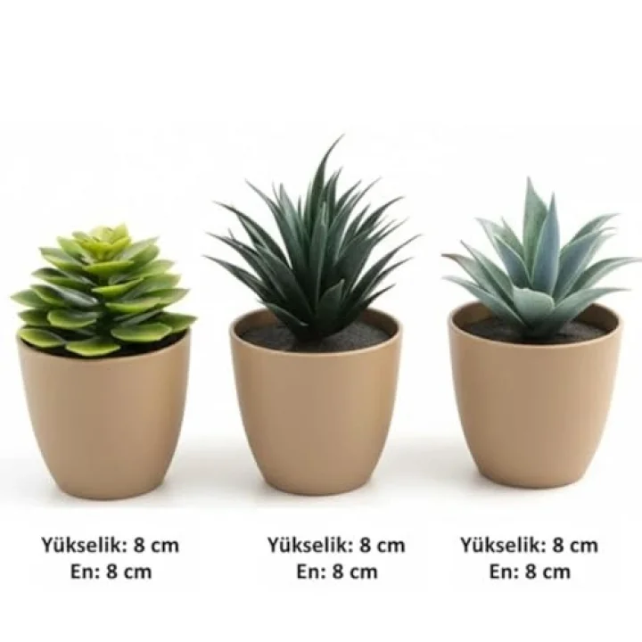 Üçlü Mini Yapay Sukulent Seti – 8 cm Saksı, Dekoratif Küçük Bitki Seti, Gerçekçi Görünüm, Salon Ofis Ev Masa Üstü Süs Bitkisi, Bakım Gerektirmez, Modern Dekor